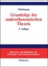 Grundzüge der makroökonomischen Theorie