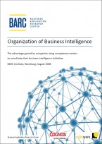 Organization of Business Intelligence